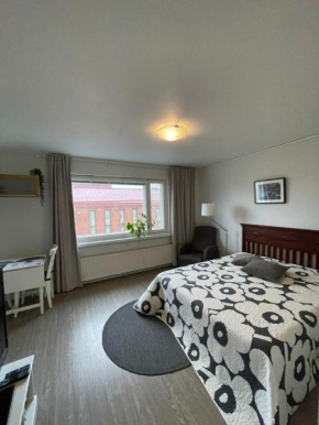 City Apartment Maaherrankatu, ilmainen kadunvarsipysäköinti Kuopio